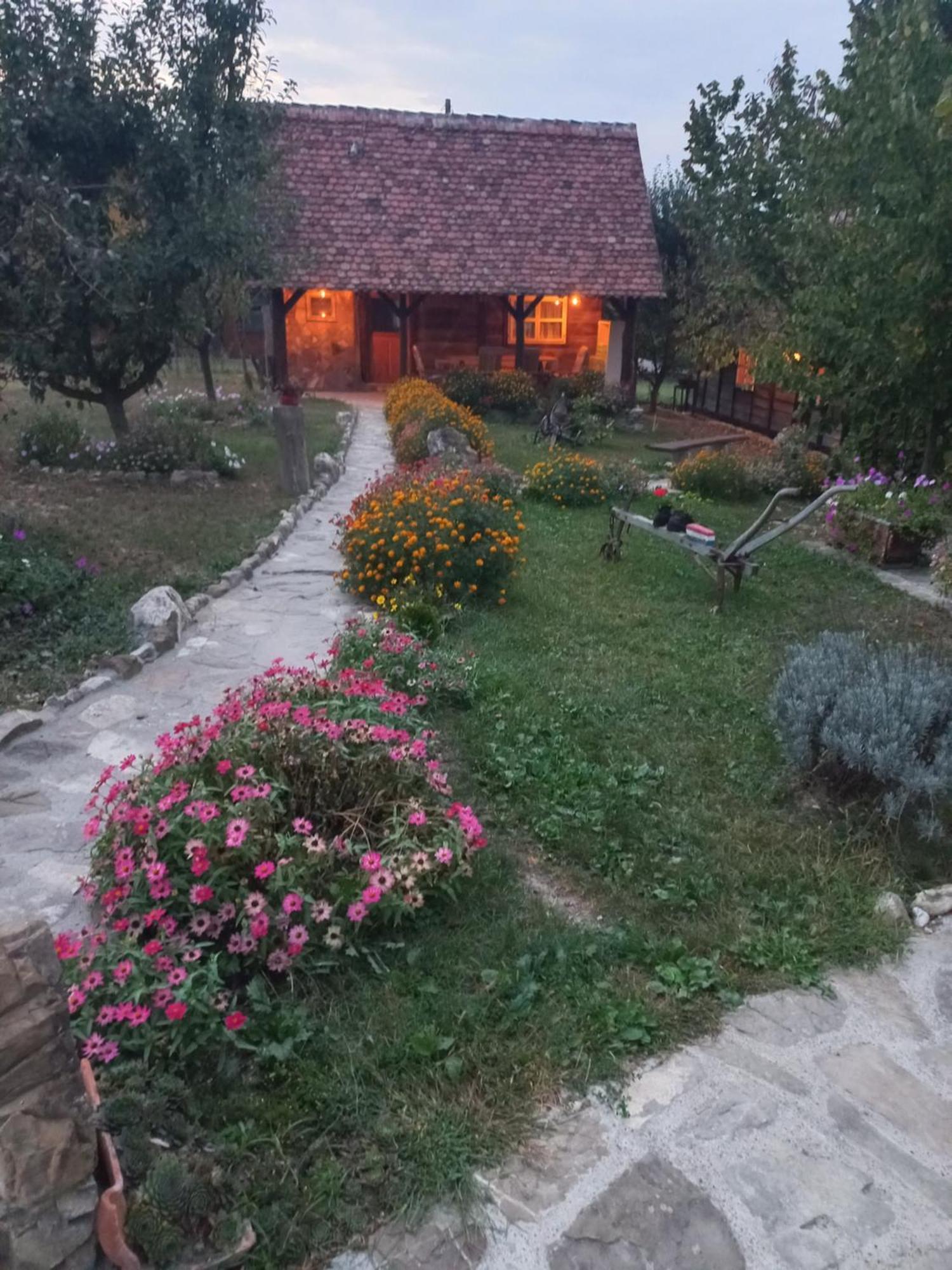 Вілла Magaze De Luxe Gradacac Екстер'єр фото